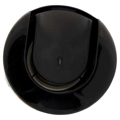 Raid Max Scarafaggi e Formiche 300 ml